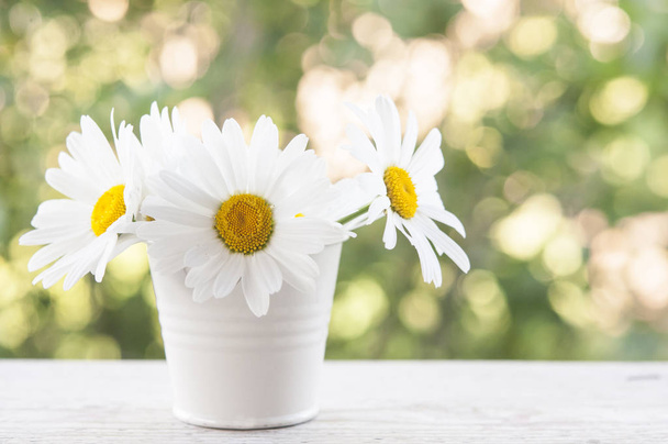 Bouquet of daisy-chamomile flowers in pot  - Фото, зображення