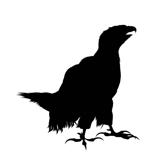 Standing eagle - Vector, Imagen