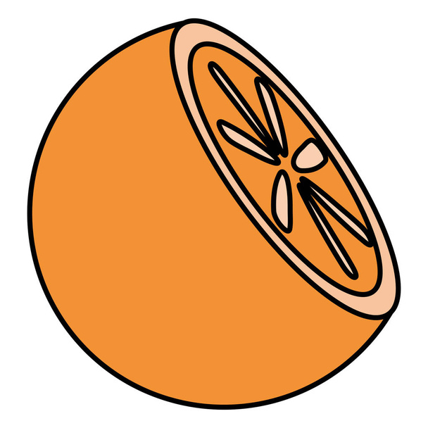 medio cítrico de naranja fresca
 - Vector, imagen