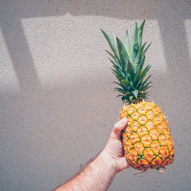 Juicy ripe pineapple in a farmer's hand - Φωτογραφία, εικόνα