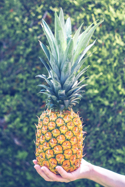 Woman holding pineapple in her hand - a seductive fruit - vintage toning - Φωτογραφία, εικόνα