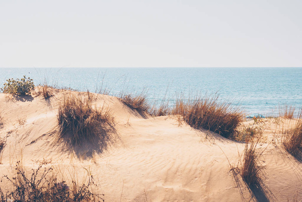Sand dunes on the sea - Фото, зображення