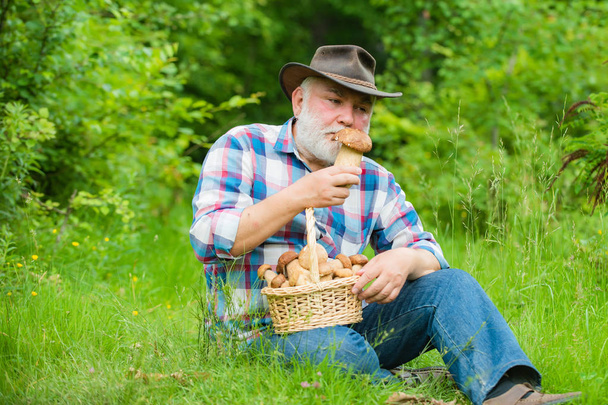 Happy Grandfather - summer and hobbies. Grandpa Pensioner. Grandfather with basket of mushrooms and a surprised facial expression. - Fotó, kép