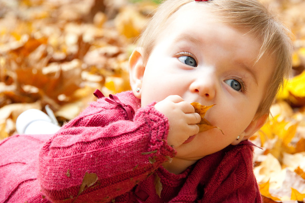 Baby girl eating autumn leaves - Φωτογραφία, εικόνα