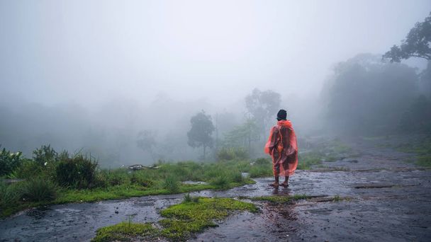 Туристи з вологим хутром мандрують пригодницькою природою в вологому лісі в Національному парку Пху Хінь Ронг Кла. подорожі, подорожі розслабляються, подорожі в Таїланд, сезон дощів. - Фото, зображення