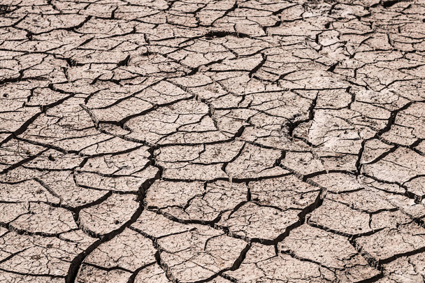 Crack ground of drought background. - Photo, Image