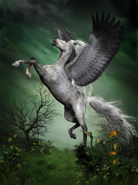Dapple Grey Pegasus - Photo, Image