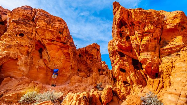 Senior woman hiking in the bright red Aztec sandstone rock formations in the Valley of Fire State Park in Nevada, USA - Photo, Image