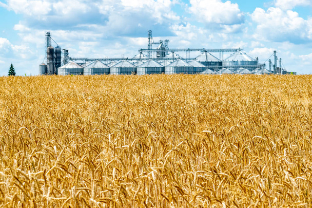 Field and elevator - Photo, Image