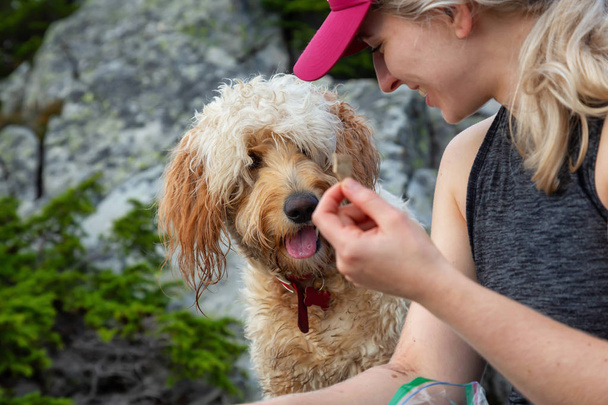 Adventurous Blonde Caucasian Woman Hiker is spending time with her Dog in the nature. Taken in West Vancouver, British Columbia, Canada. - Fotoğraf, Görsel
