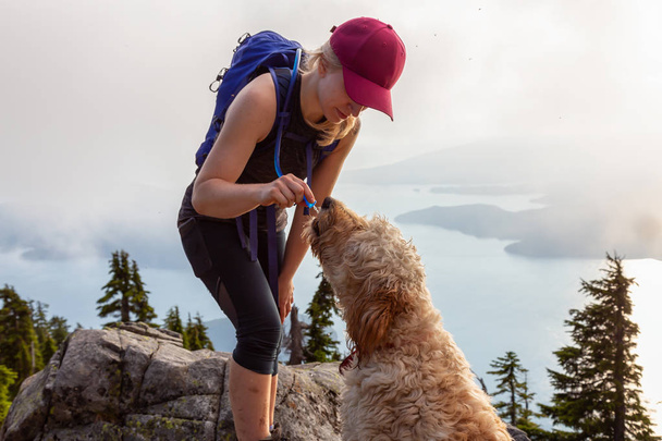 Adventurous Woman Hiker and dog are dinking water during a cloudy and sunny summer day. Taken while hiking on a mountain near Vancouver, British Columbia, Canada. - Fotó, kép