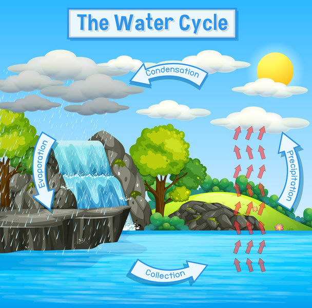 Water Cycle of Earth - Vector, Image