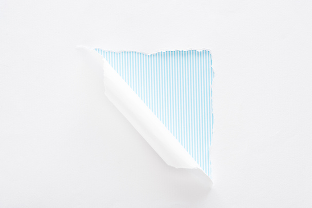 white torn and rolled paper on light blue striped background - Photo, Image