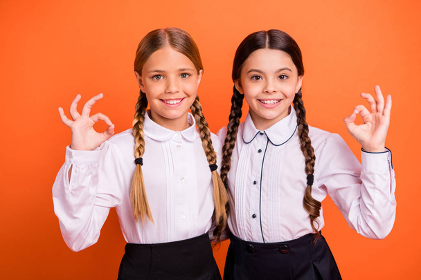Close-up portrait of two person nice attractive charming cute lovely content cheerful cheery pre-teen girls showing ok-sign isolated over bright vivid shine orange background - Φωτογραφία, εικόνα