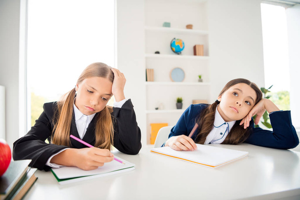 Portrait of two person nice-looking attractive charming cute smart clever dreamy girls learners 1 September new year elementary doing home work in light white interior class room indoors - Fotoğraf, Görsel