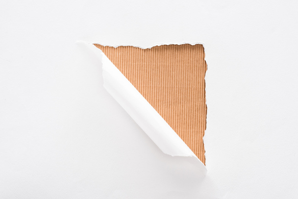 white torn and rolled paper on beige striped background - Foto, afbeelding