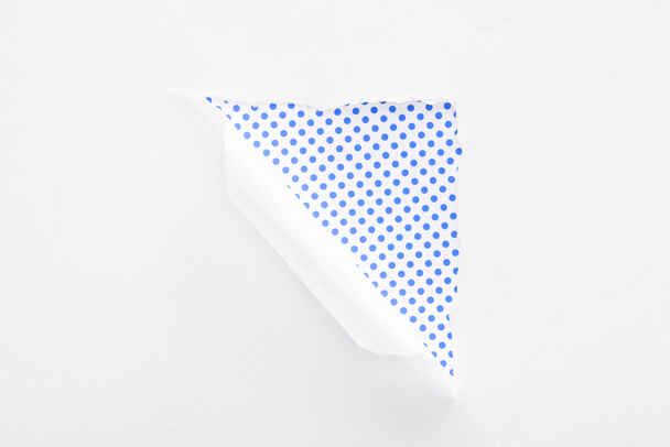 wit gescheurd en gerold papier op polka dot blauwe en witte achtergrond - Foto, afbeelding
