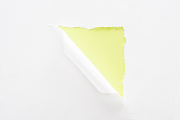 white torn and rolled paper on lime green colorful background - Photo, Image