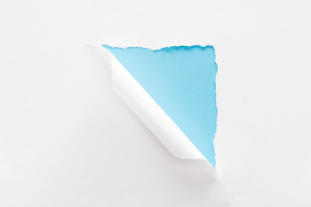 white torn and rolled paper on blue colorful background - Фото, зображення