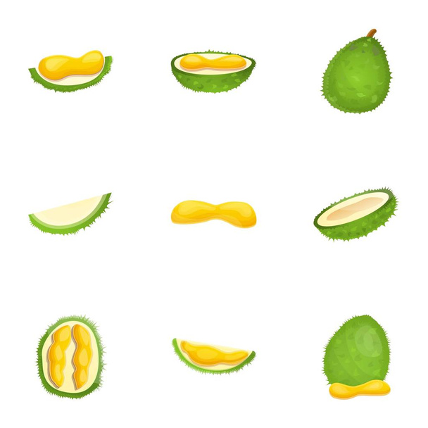 Fresh durian icon set, cartoon style - Vector, Image