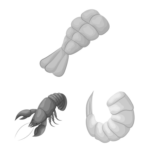 Vector design of crab and appetizer symbol. Set of crab and sea stock symbol for web. - Vektor, obrázek