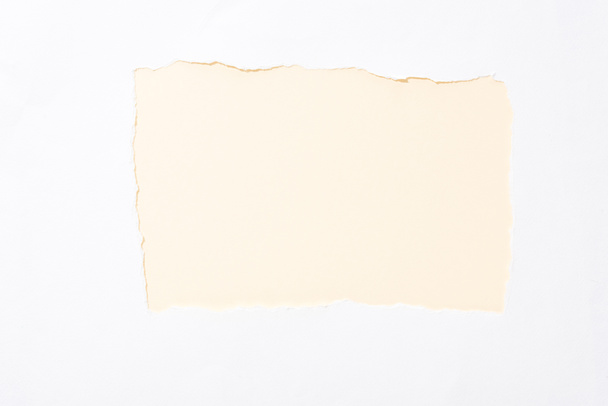 pastel beige colorful background in white torn paper hole - Foto, imagen