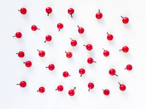 Christmas holly red berries - Valokuva, kuva