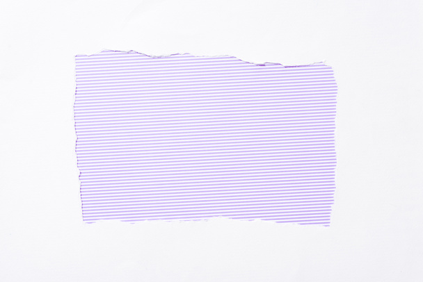 violet striped colorful background in white torn paper hole - Photo, Image