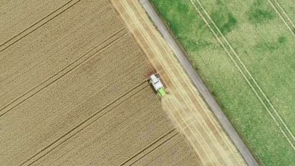 Cosecha y devastación de campos agrícolas - vista aérea, imágenes de aviones no tripulados
 - Imágenes, Vídeo
