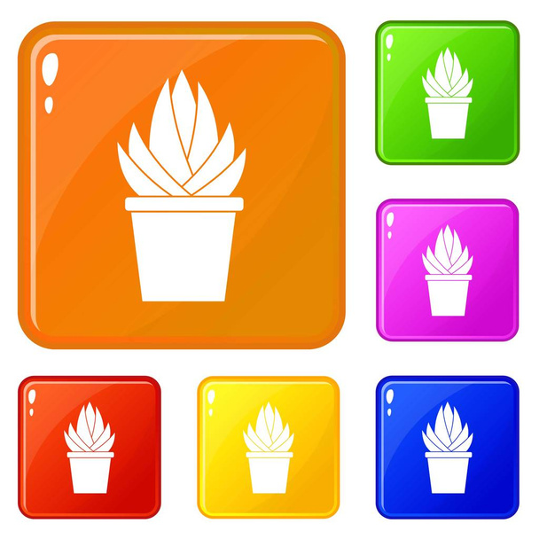 Aloe vera plant icons set vector color - Vektör, Görsel