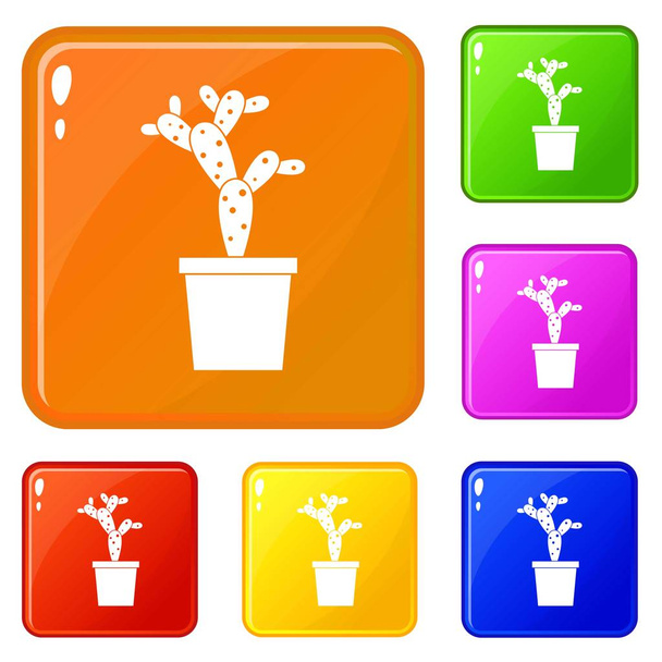 Opuntia icons set vector color - Vector, imagen