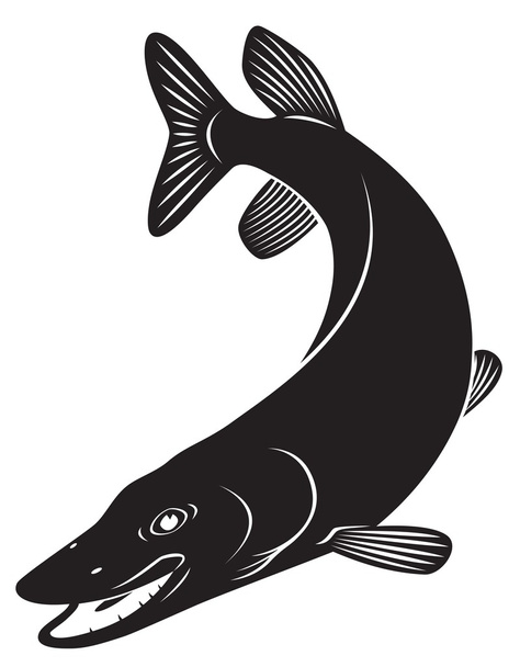 A figura mostra um pique de peixe
 - Vetor, Imagem