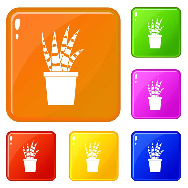 Succulent icons set vector color - Vecteur, image
