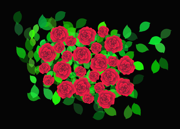 Punaiset ruusut - Vektori, kuva