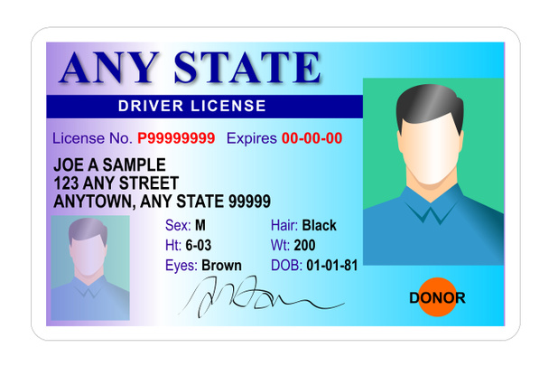 Carta de condução do estado masculino genérico
 - Foto, Imagem