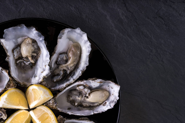 Oysters plate with lemon on grey background. Served table with oysters and lemon. Fresh oysters close-up top view. Healthy sea food. Oyster dinner with champagne in restaurant. Gourmet food. Sea food - Fotografie, Obrázek