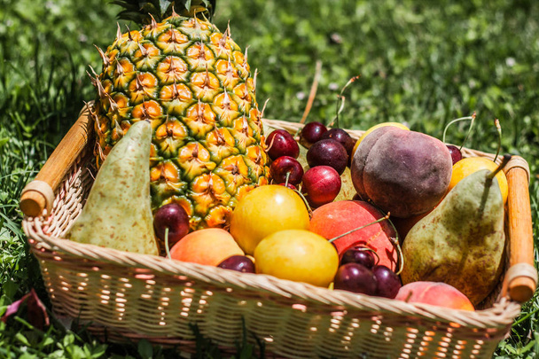 Large picnic fruit basket - Foto, Bild