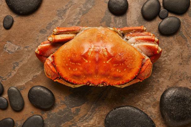 Crabイメージ 写真素材との写真crab