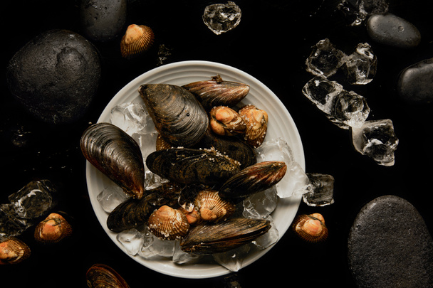 top view of frozen uncooked cockles and mussels on white plate near scattered ice cubes and stones isolated on black - Foto, Bild