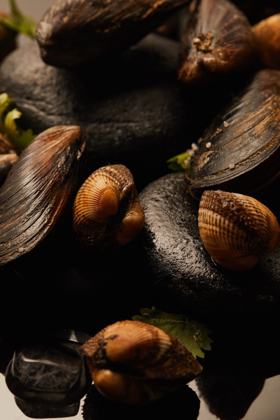 close up view of uncooked cockles and mussels with greenery on stones isolated on black - Photo, Image