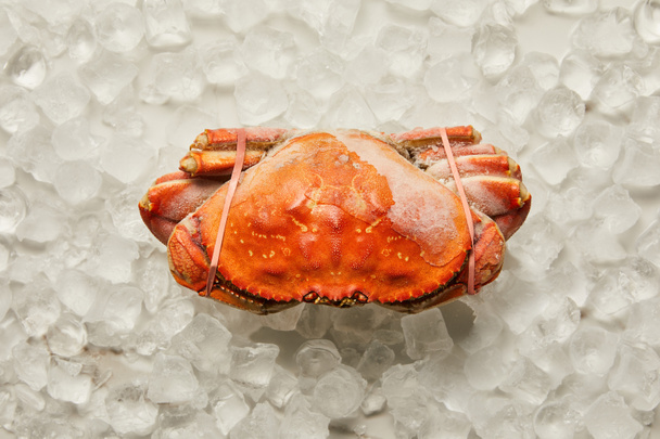 Draufsicht auf gefrorene rohe gefesselte Krabben auf Eiswürfeln auf weißen - Foto, Bild