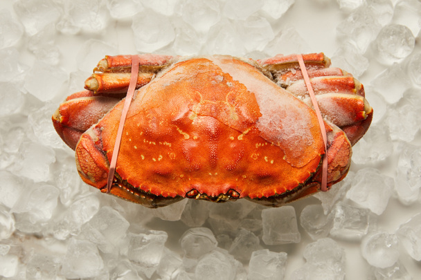 top view of frozen uncooked tied up crab on ice cubes on white - Foto, afbeelding
