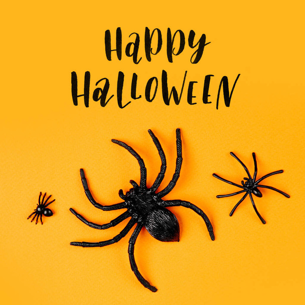 Halloween background with spiders, holiday concept - Фото, зображення