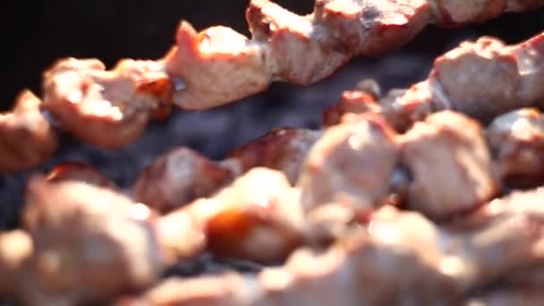 Le délicieux kebab à la viande juteuse est frit sur des brochettes sur un brasero sur des charbons. Préparation d'un barbecue en été
. - Séquence, vidéo