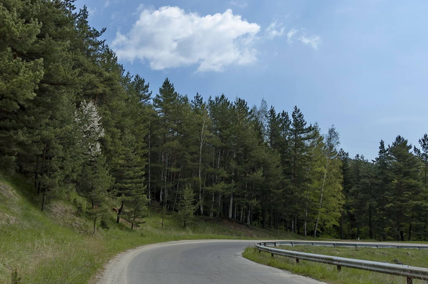 Landscape at Plana mountain region in Bulgaria - Foto, Imagen