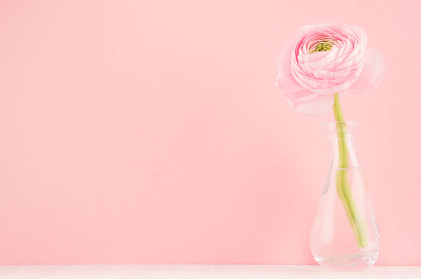 Φρέσκια άνοιξη απαλό ελαφρύ ρομαντικό λουλούδι σε πανέμορφο γυάλινο βάζο σε λευκό ξύλινο τραπέζι και παστέλ ροζ χρώμα φόντου. - Φωτογραφία, εικόνα