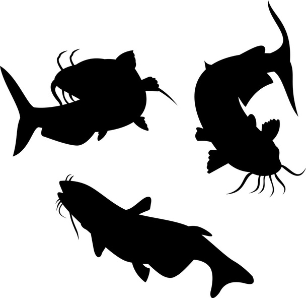 sagoma del pesce gatto - Vettoriali, immagini