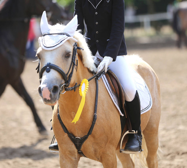 Yarış pistine kazananlar atları üzerinde gururlu rozetleri - Fotoğraf, Görsel