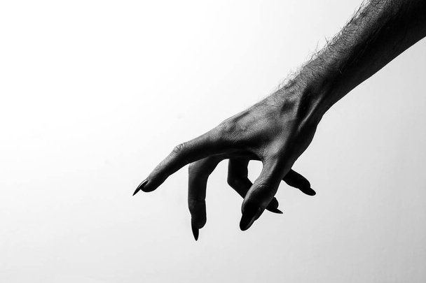 Black creepy halloween monster hand with long nails - Фото, зображення