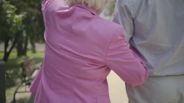 Two positive mature couples meet in the park. Double date of senior couples. Old men and women greeting each other, man shake hands, women hugging. Healthy cheerful senior retired people. - Filmati, video